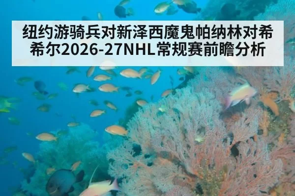纽约游骑兵对新泽西魔鬼帕纳林对希希尔2026-27NHL常规赛前瞻分析